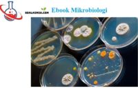 Ebook Mikrobiologi - Dasar, Keperawatan dan Kedokteran [Buku Ajar]