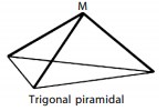 3. Trigonal Piramidal