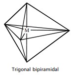 trigonal bipiramidal