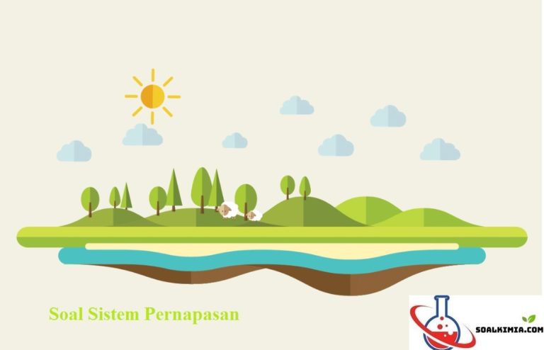 Soal Sistem Pernapasan Pilihan Ganda Dan Jawaban [+Pembahasan]