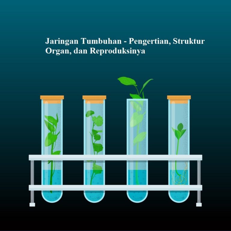 Jaringan Tumbuhan Pengertian Struktur Organ Dan Reproduksinya