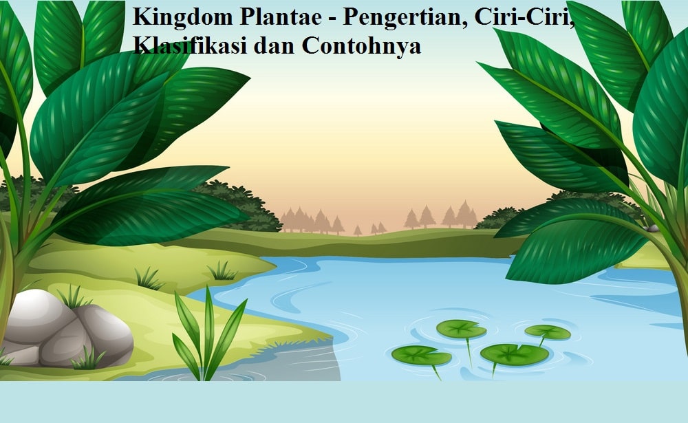 Kingdom Plantae - Pengertian, Ciri-Ciri, Klasifikasi dan Contohnya