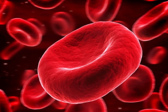 Sel darah merah