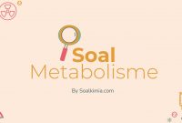 Soal metabolisme