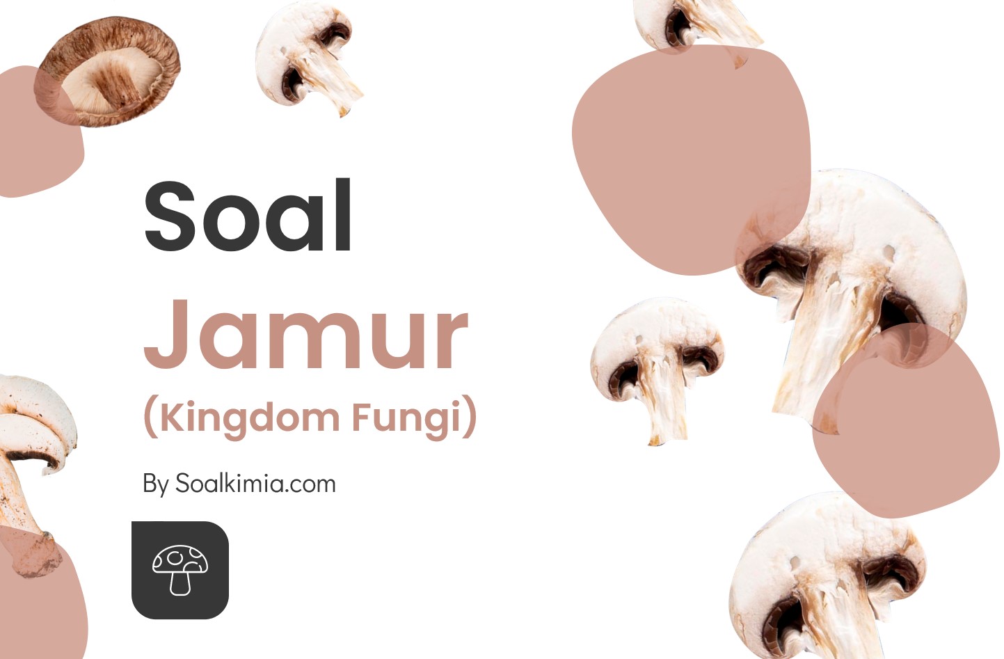 Soal Jamur (Kingdom Fungi)